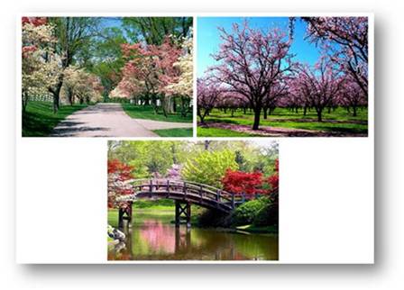 &iexcl;&iexcl;&iexcl;&iexcl;HA EMPEZADO LA PRIMAVERA!!!!!