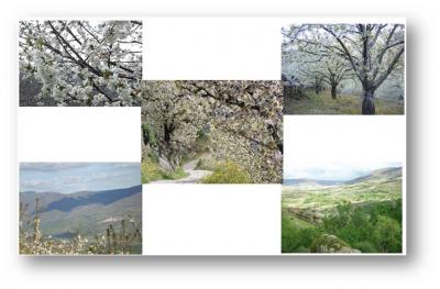 Nos adentramos al coraz&oacute;n de Extremadura: El Valle del Jerte.